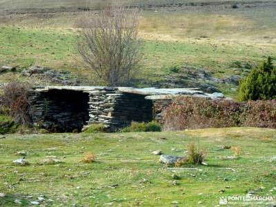 Hayedo Tejera Negra; rutas en la pedriza viajes trekking la horizontal ruta cercedilla